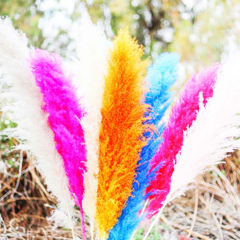 Wholesale Bulk Dried Artificial Pampas Grass