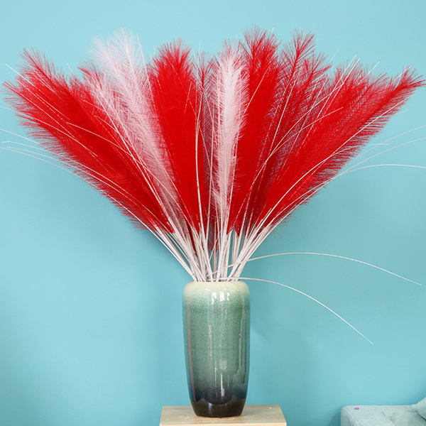 Wholesale Red Pampas Grass