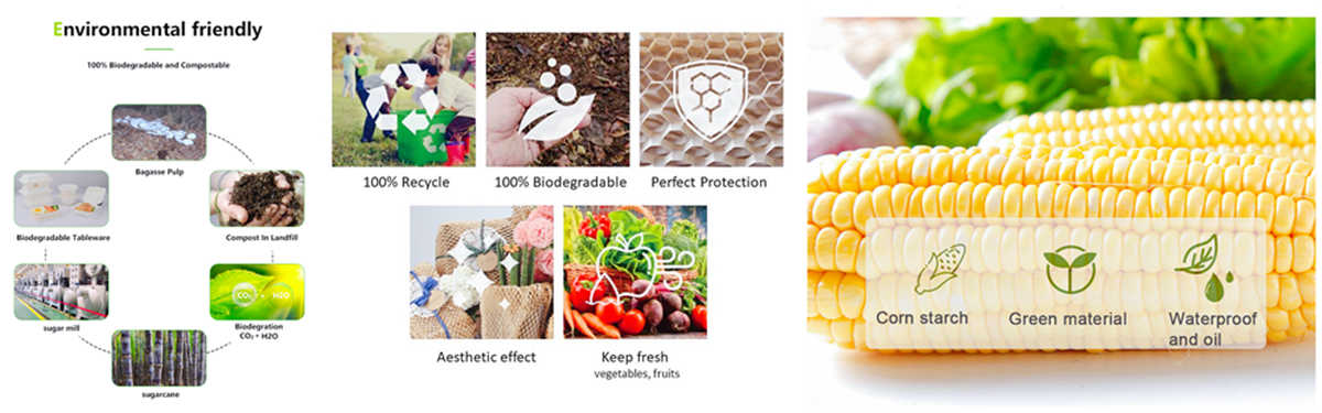 Custom Biodegradable Packaging Design Solution China