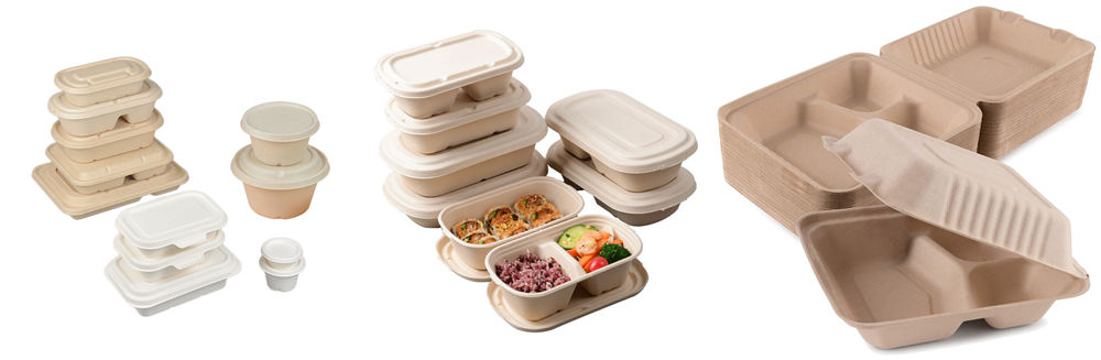 eco friendly disposable bio degradable food containers wholesale