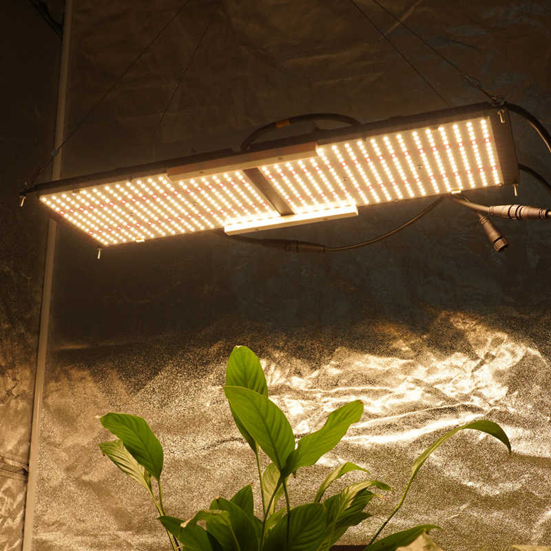 Best LED Grow Lights Manufacturers & Suppliers