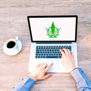 Best Cannabis Web Design Service Companies