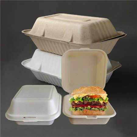 Biodegradable Food Packaging Box Supplies