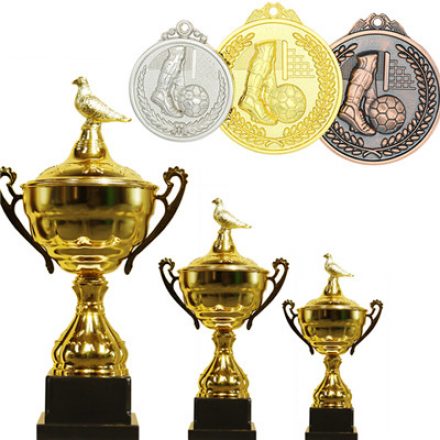 Custom Medals and Trophies